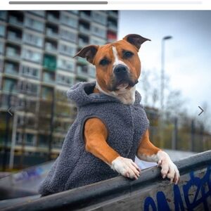 NwT sparkpaws 4xl sherpa jacket